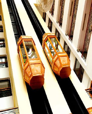 CAPSULE ELEVATOR